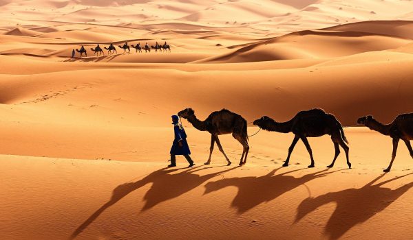 Fes to Marrakech desert trip 4 days / 3 nights