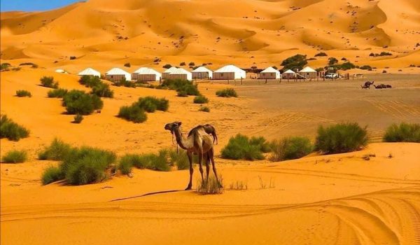 Zagora desert tour from Marrakech 2 days / 1 night