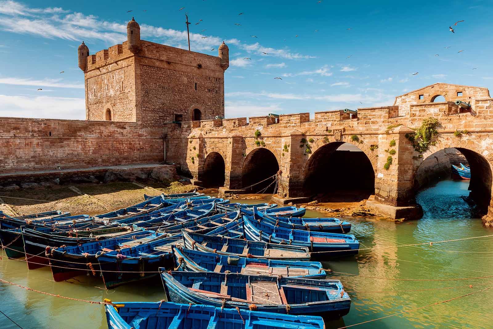 Marrakech to Essaouira Mogador Day Trip